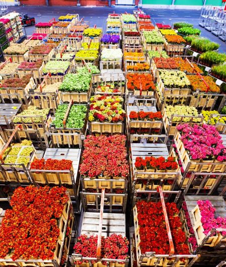 Marché aux fleurs