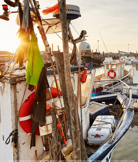 port de pêche