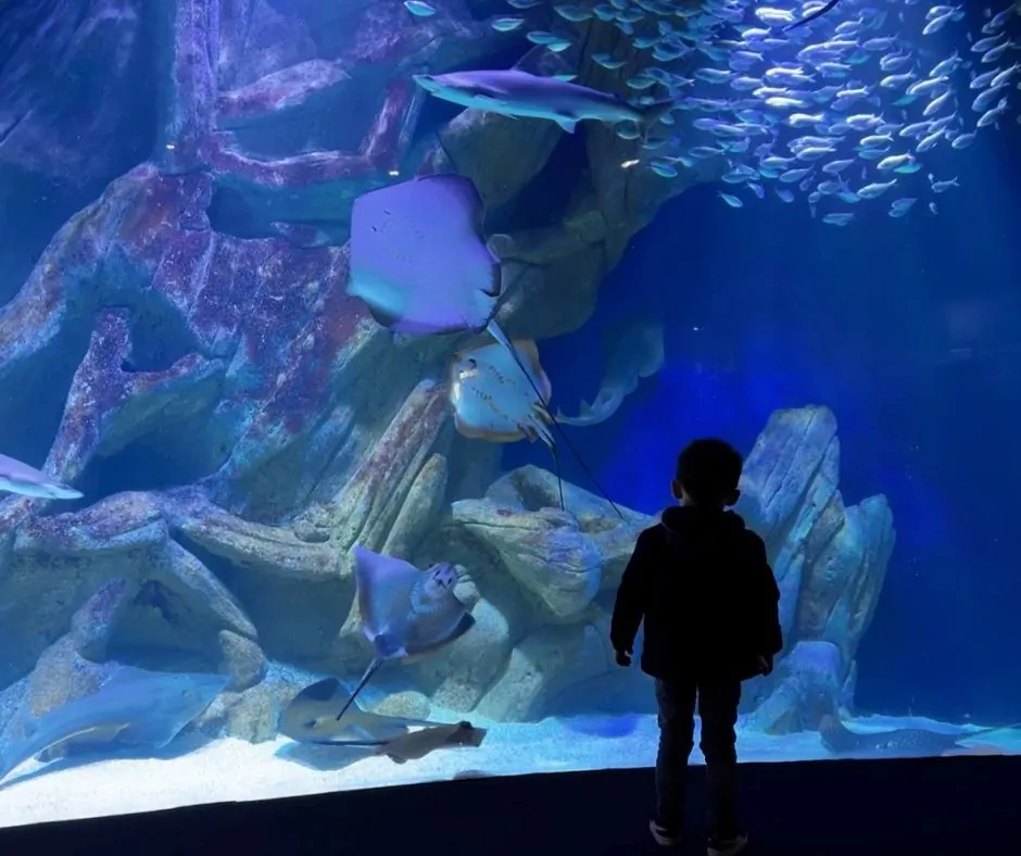 Aquarium de La Rochelle