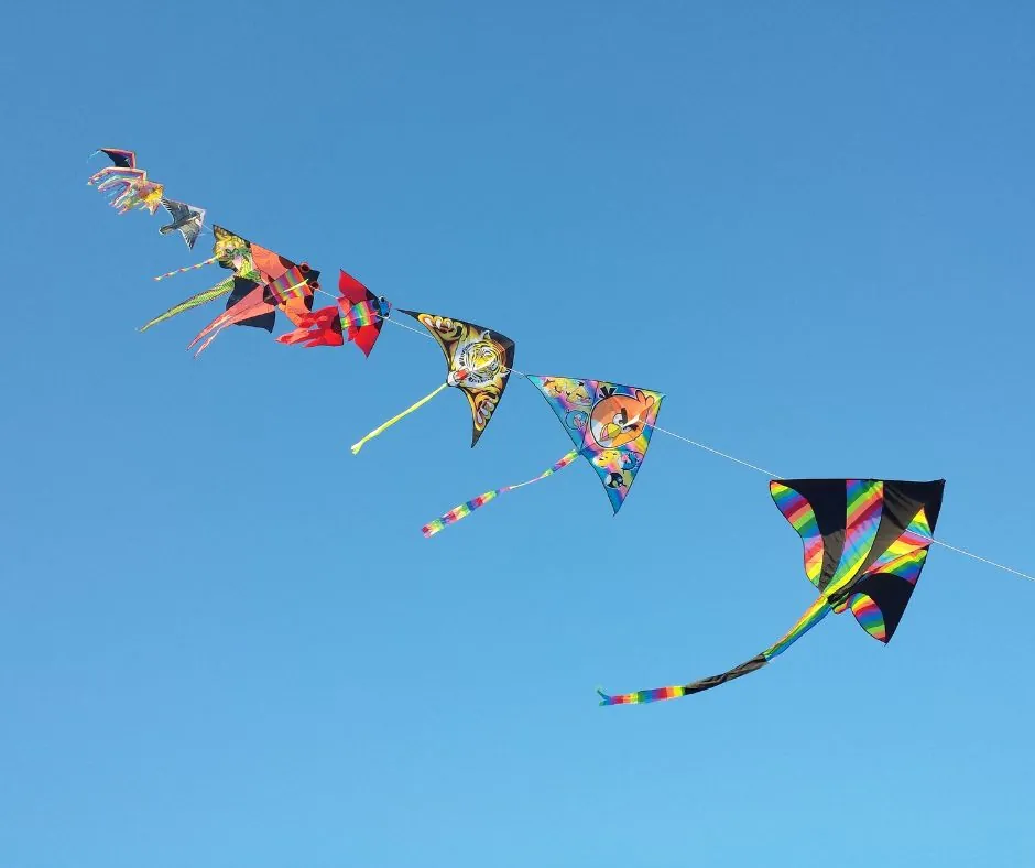 Photo de Cerf volant en vol