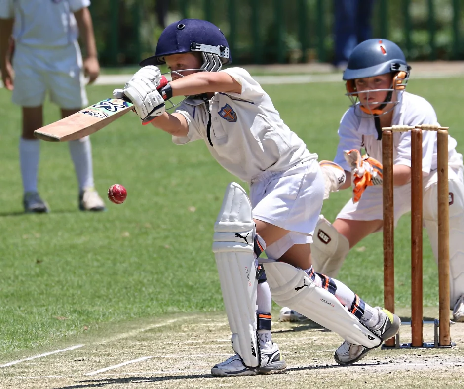 Cricket
