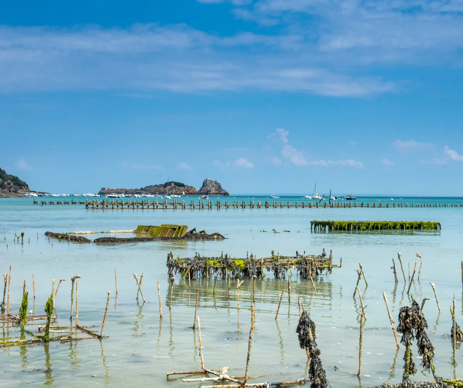 Ferme marine de Cancale