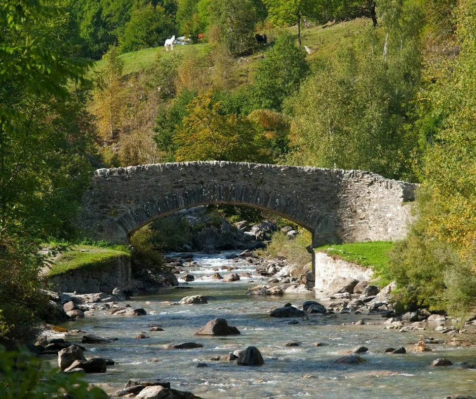 petit pont