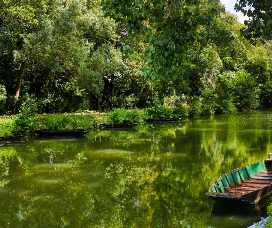 Photo du Marais Poitevin