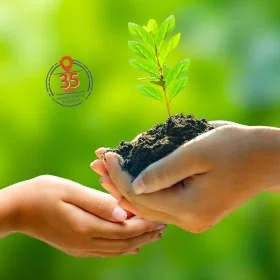 Photo arbre de vie pour notre histoire