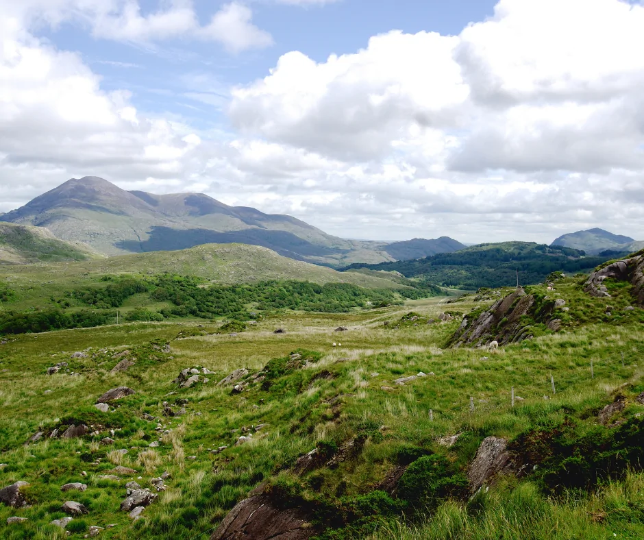 Parc Killarney